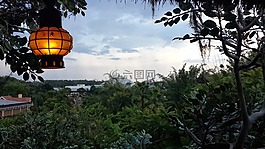 迪斯尼乐园,公园,奥兰多