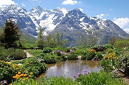 高等 阿尔卑斯大区,宫颈lautaret,花园