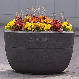 混凝土锅,花卉种植,花