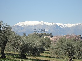 雪,塞拉利昂妮薇丝,西班牙