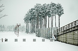 上岩世界杯公园,snow,岩
