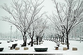 上岩世界杯公园,snow,岩