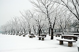 上岩世界杯公园,snow,岩