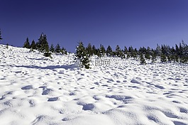 冬天,现场,山