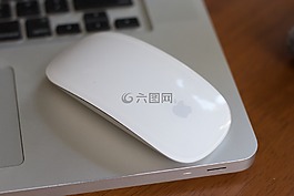 鼠标,苹果,魔术鼠标