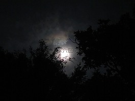领域,性质,景观