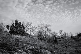 fülöpháza,自然,沙山