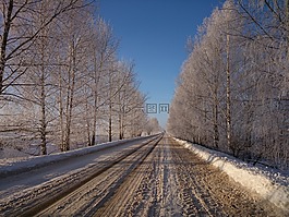 阳光明媚,路,冬季