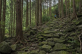 景观,日本,熊野古道