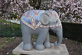 ele,海,绿色