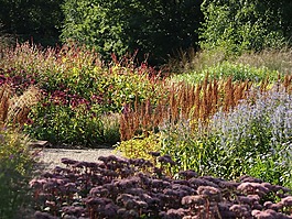 pensthorpe,花园,自然植
