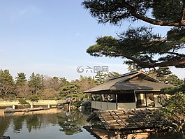 湖面,美景,日本