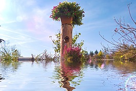 喷泉,天热,井水