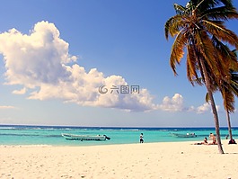 棕榈,海滩,多米妮卡