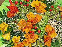 束鲜花,花商,束玫瑰