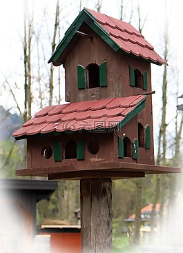 鸟舍,鸟进纸器,鸟