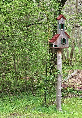 鸟舍,鸟进纸器,鸟