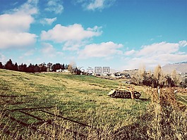 农村,房子,草