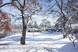 日本,北方,雪地