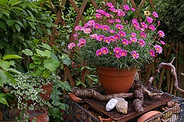 margaritte,花盆,兵马俑