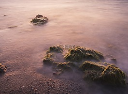 景观,海洋,海滩