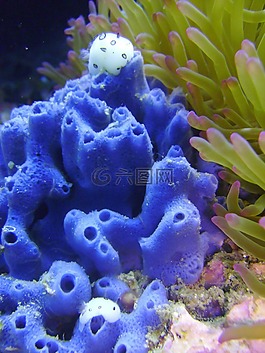 水下,白,辅助信息区
