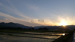 乡村,农村,山田的稻田