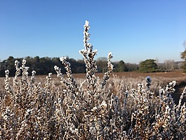 你好,冬天,新