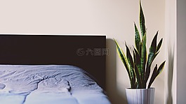 床,工作表,睡眠