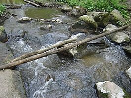溪,流,穿越