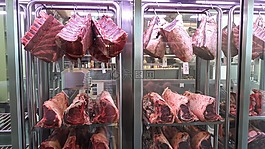 肉,新鲜的肉,餐厅