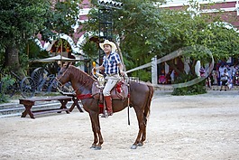 牛仔,墨西哥,套索