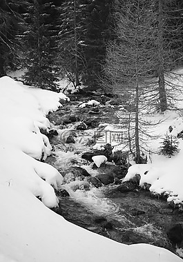 河,雪,黑白色