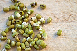 mash,豆芽,金克豆芽