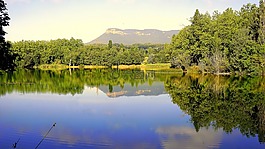 亮点,湖,水