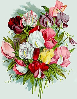 花束,装修,礼物