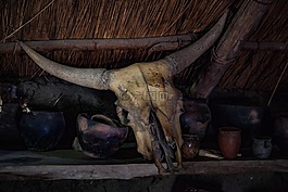 头骨,死亡,那些