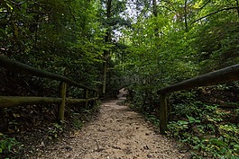 自然,有机,户外