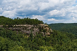 自然,有机,户外