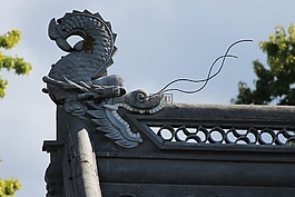 中国龙,中国,龙