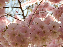 春天,尝试,玻璃