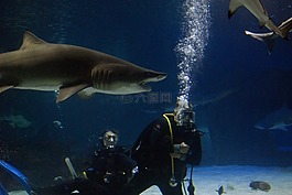 水肺,潜水员,坦克