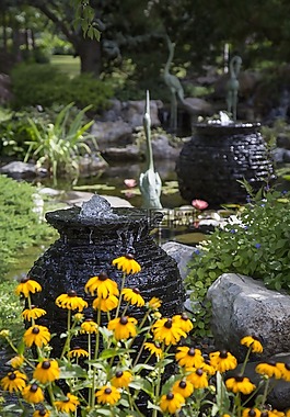 黄色的花,池塘,鱼