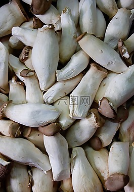 蘑菇,美味,市场