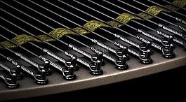 弦乐器,电压,乐队