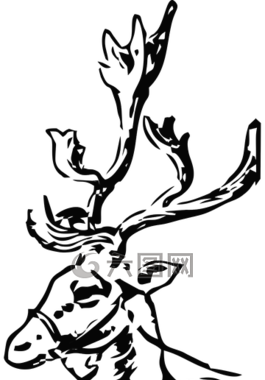 驯鹿,圣诞老人圣诞老人,圣诞节