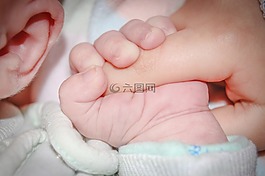 婴儿,句柄,微小