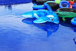 海豚,玩具,蓝色的水