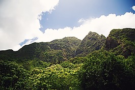 山,茂盛,植被