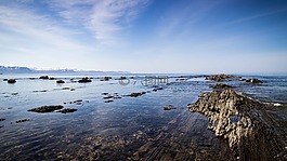 崎岖,海岸,岸